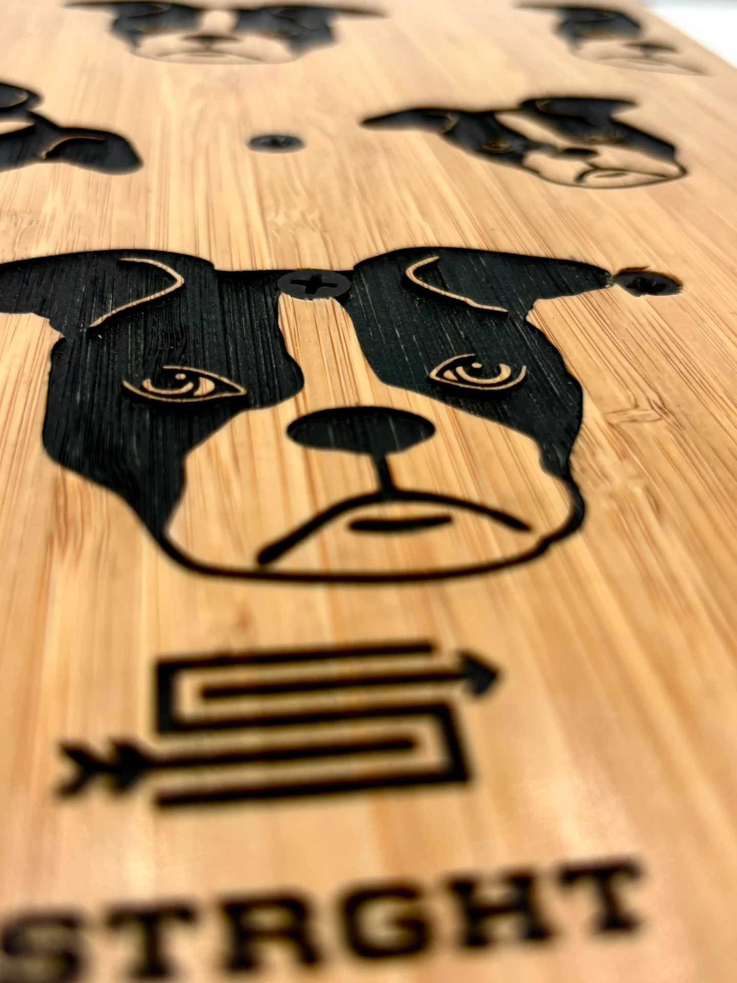 Puppy Test - Image 3